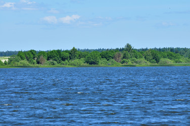 Similar image 21495254