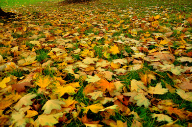 Similar image 21495273