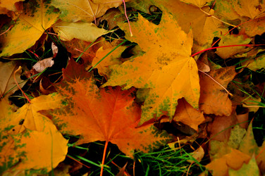 Similar image 21499700