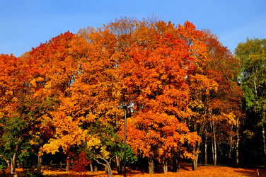 Similar image 21499701