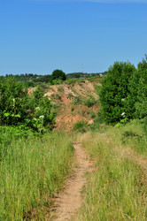 Similar image 21502780