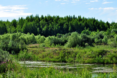 Similar image 21502793