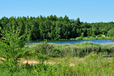 Similar image 21502795