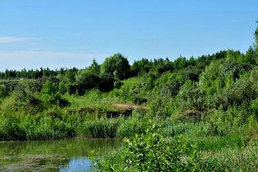 Similar image 21502796