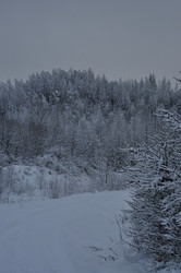 Similar image 21489412