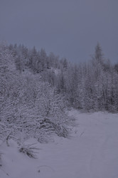 Similar image 21489414