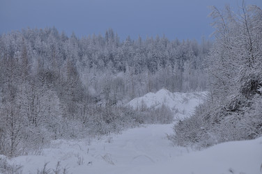 Similar image 21489416