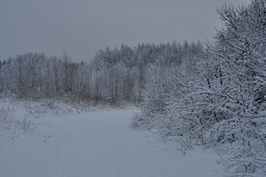 Similar image 21489421