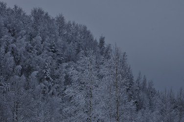 Similar image 21489422