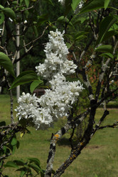 Similar image 21492533