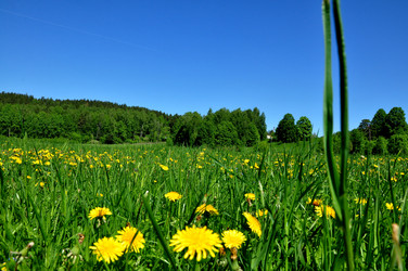 Similar image 21492535