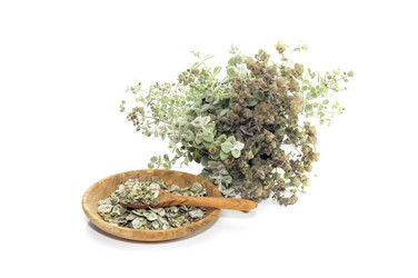 Similar image 21495602