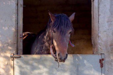 Similar image 21495503