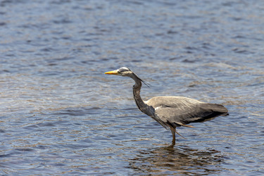 Similar image 21490985