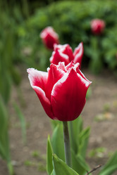 Similar image 21491039