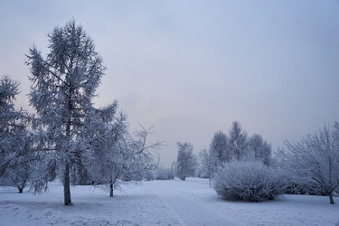 Similar image 21496434