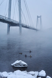 Similar image 21496452