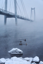 Similar image 21496455