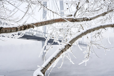 Similar image 21496457