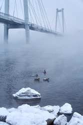 Similar image 21496459