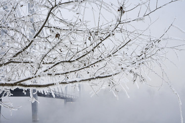 Similar image 21496471