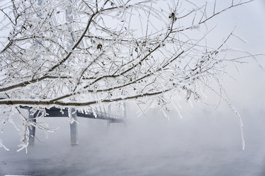 Similar image 21496472