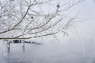 Similar image 21496473