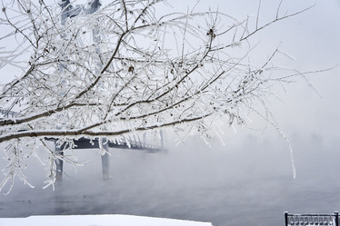 Similar image 21496474