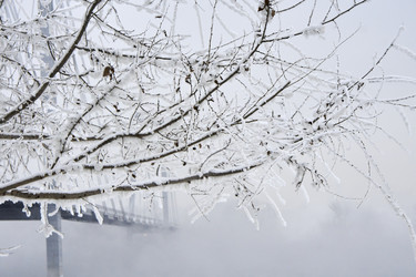 Similar image 21496476