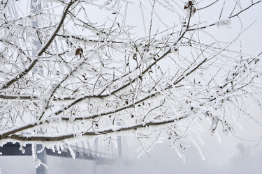 Similar image 21496477