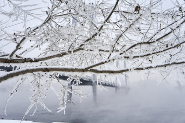 Similar image 21496479