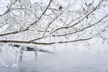 Similar image 21496481