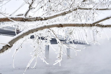 Similar image 21496484