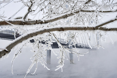 Similar image 21495932