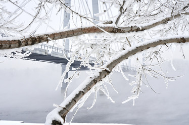 Similar image 21495934