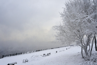 Similar image 21495936