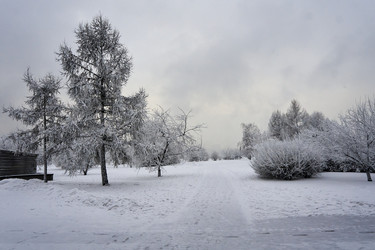 Similar image 21495944