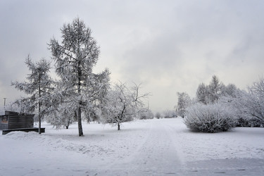 Similar image 21495945