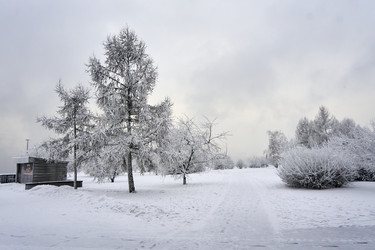 Similar image 21495946