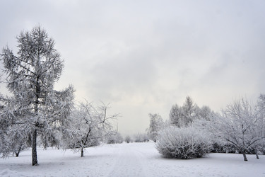 Similar image 21495948