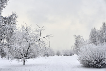 Similar image 21495949