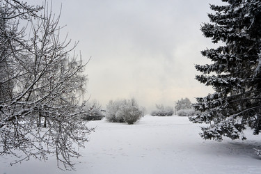 Similar image 21495955