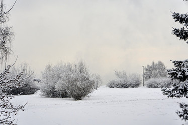 Similar image 21495956