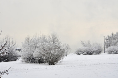 Similar image 21495957