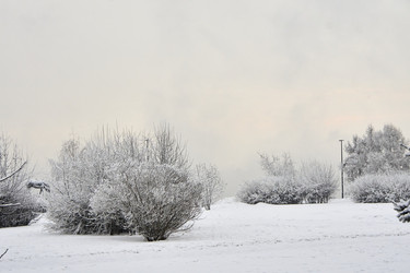 Similar image 21495958