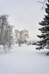 Similar image 21495959