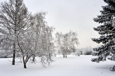 Similar image 21495961