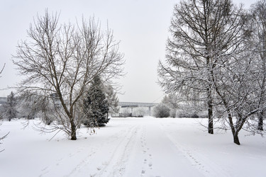 Similar image 21495962