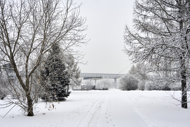 Similar image 21495963