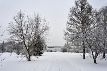 Similar image 21495964